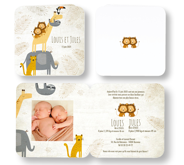 Faire-part de naissance "lionceaux" 581097