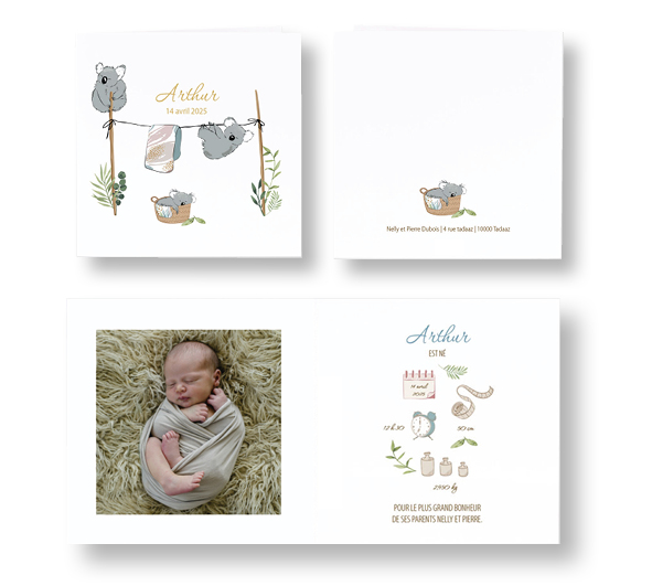 Faire-part de naissance "koalas rigolos" 581006