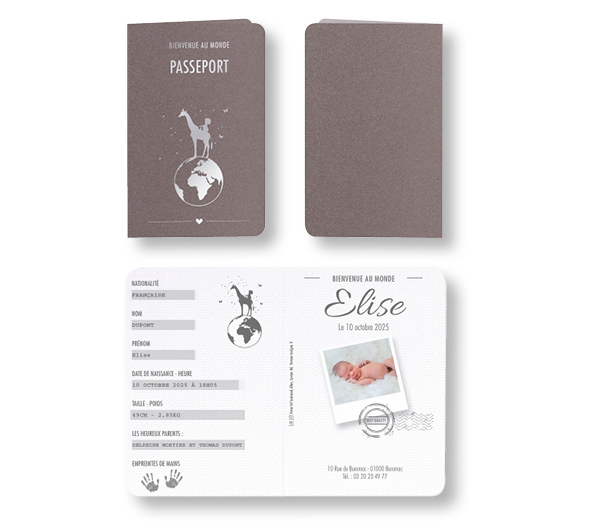 Faire-part de naissance passeport "girafe argentée" 581177