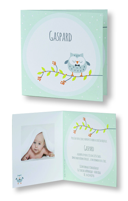 Faire-part de naissance "Hibou sur Brindille" 589084