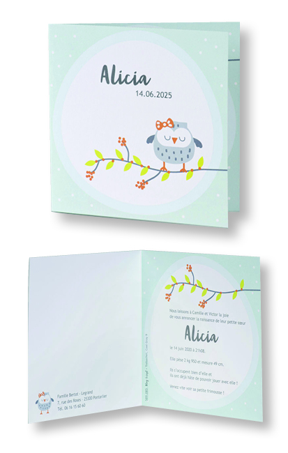 Faire-part de naissance "Chouette sur Brindille" 589085